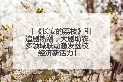 《长安的荔枝》引追剧热潮，大剧助农多领域联动激发荔枝经济新活力