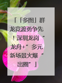「多图」群龙竞渡勇争先！深圳龙岗“龙舟+”多元新场景火爆“出圈”