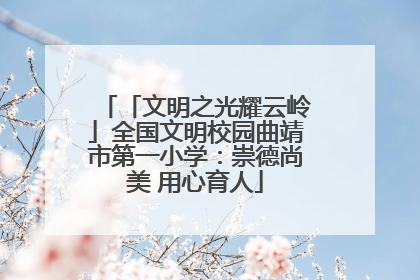 「文明之光耀云岭」全国文明校园曲靖市第一小学：崇德尚美 用心育人