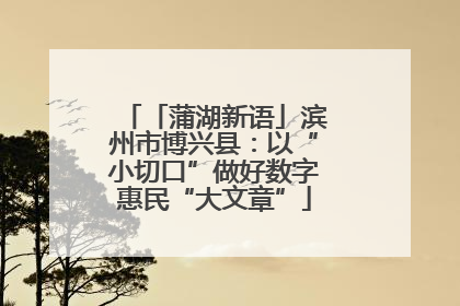 「蒲湖新语」滨州市博兴县：以“小切口”做好数字惠民“大文章”