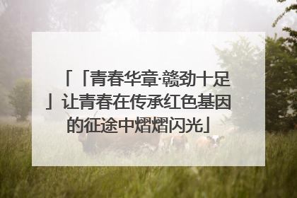 「青春华章·赣劲十足」让青春在传承红色基因的征途中熠熠闪光