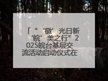 “‘徽’光日新‘皖’美之行”2025皖台基层交流活动启动仪式在芜举行