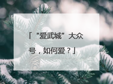 “爱武城”大众号，如何爱？