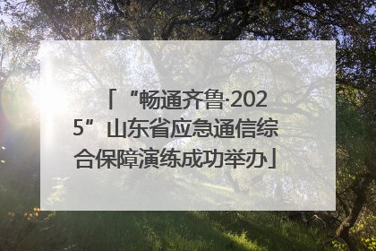 “畅通齐鲁·2025”山东省应急通信综合保障演练成功举办