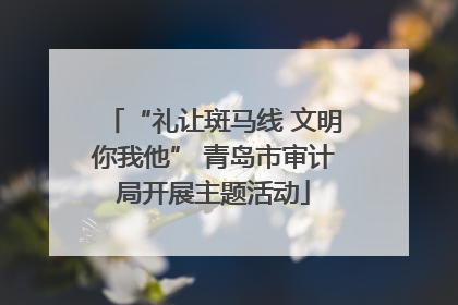 “礼让斑马线 文明你我他” 青岛市审计局开展主题活动