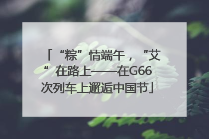 “粽”情端午，“艾”在路上——在G66次列车上邂逅中国节