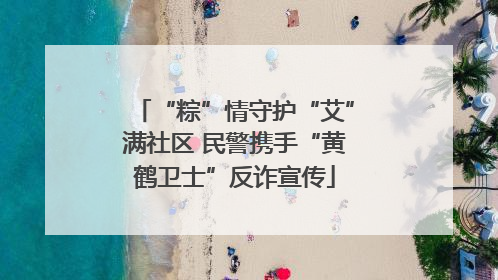 “粽”情守护“艾”满社区 民警携手“黄鹤卫士”反诈宣传