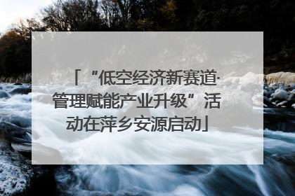 “低空经济新赛道·管理赋能产业升级”活动在萍乡安源启动