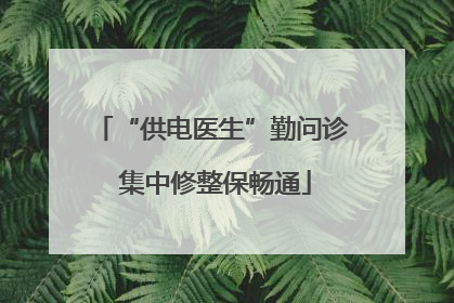 “供电医生”勤问诊 集中修整保畅通