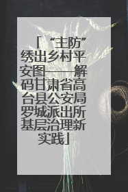 “主防”绣出乡村平安图——解码甘肃省高台县公安局罗城派出所基层治理新实践