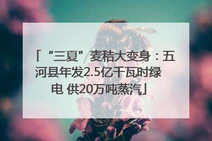 “三夏”麦秸大变身：五河县年发2.5亿千瓦时绿电 供20万吨蒸汽