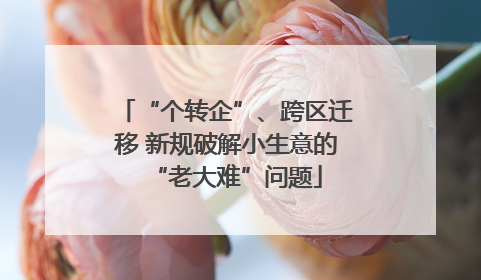 “个转企”、跨区迁移 新规破解小生意的“老大难”问题
