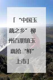 “中国玉藕之乡”柳州百朋镇玉藕抢“鲜”上市