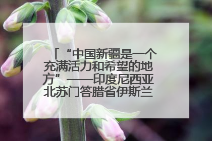 “中国新疆是一个充满活力和希望的地方”——印度尼西亚北苏门答腊省伊斯兰教代表团参访新疆