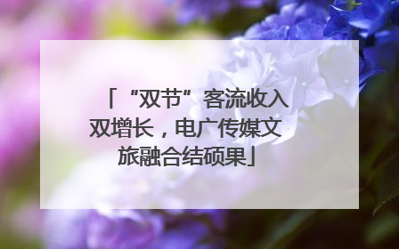 “双节”客流收入双增长，电广传媒文旅融合结硕果