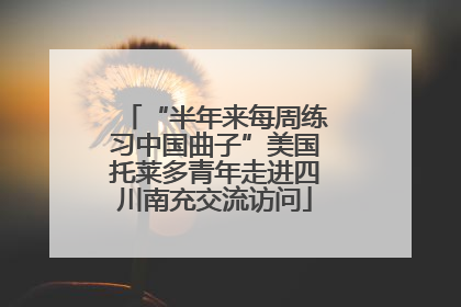 “半年来每周练习中国曲子”美国托莱多青年走进四川南充交流访问