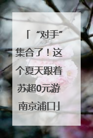 “对手”集合了！这个夏天跟着苏超0元游南京浦口
