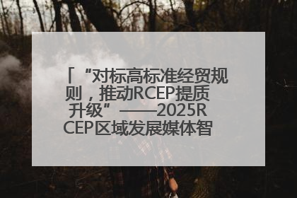 “对标高标准经贸规则，推动RCEP提质升级”——2025RCEP区域发展媒体智库论坛举行专题对话