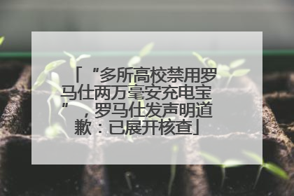 “多所高校禁用罗马仕两万毫安充电宝”，罗马仕发声明道歉：已展开核查