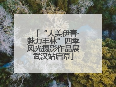 “大美伊春·魅力丰林”四季风光摄影作品展武汉站启幕