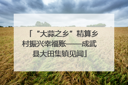 “大蒜之乡”精算乡村振兴幸福账——成武县大田集镇见闻