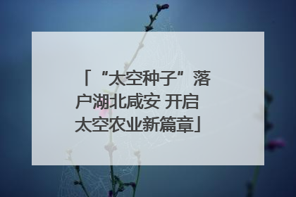 “太空种子”落户湖北咸安 开启太空农业新篇章