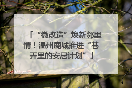 “微改造”焕新邻里情！温州鹿城推进“巷弄里的安居计划”