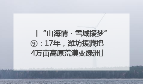“山海情・雪域援梦”⑨：17年，潍坊援藏把4万亩高原荒漠变绿洲