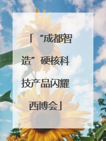 “成都智造”硬核科技产品闪耀西博会