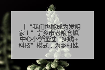 “我们也能成为发明家！”宁乡市老粮仓镇中心小学通过“实践+科技”模式，为乡村娃探索教育新路径