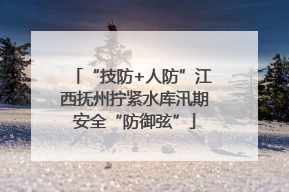 “技防+人防”江西抚州拧紧水库汛期安全“防御弦”