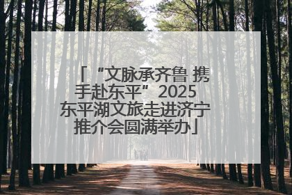 “文脉承齐鲁 携手赴东平”2025东平湖文旅走进济宁推介会圆满举办