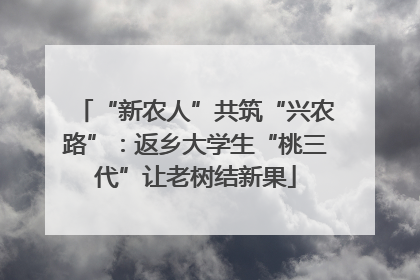 “新农人”共筑“兴农路”：返乡大学生“桃三代”让老树结新果