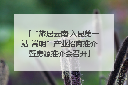 “旅居云南·入昆第一站-嵩明”产业招商推介暨房源推介会召开