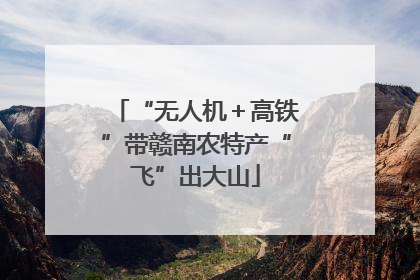 “无人机＋高铁”带赣南农特产“飞”出大山