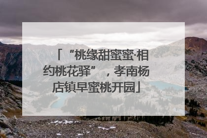 “桃缘甜蜜蜜·相约桃花驿”，孝南杨店镇早蜜桃开园
