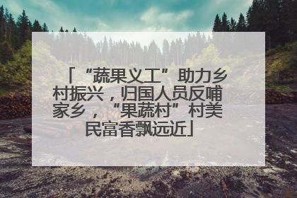 “蔬果义工”助力乡村振兴，归国人员反哺家乡，“果蔬村”村美民富香飘远近