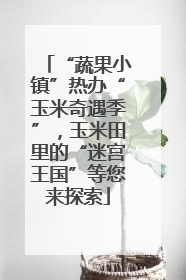 “蔬果小镇”热办“玉米奇遇季”，玉米田里的“迷宫王国”等您来探索