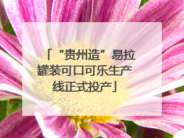 “贵州造”易拉罐装可口可乐生产线正式投产