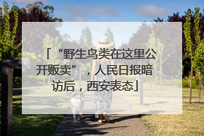“野生鸟类在这里公开贩卖”，人民日报暗访后，西安表态