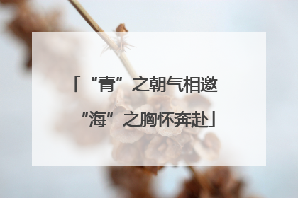 “青”之朝气相邀 “海”之胸怀奔赴
