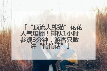 “顶流大熊猫”花花人气爆棚！排队1小时参观3分钟，游客只敢讲“悄悄话”