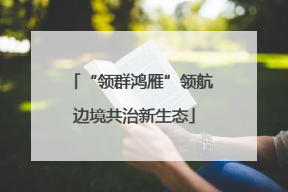 “领群鸿雁”领航边境共治新生态