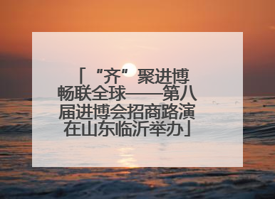 “齐”聚进博 畅联全球——第八届进博会招商路演在山东临沂举办
