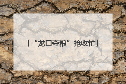 “龙口夺粮”抢收忙