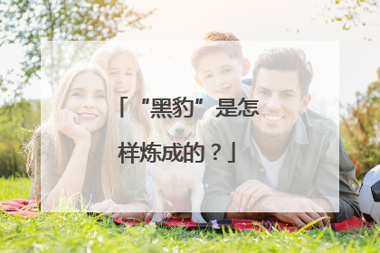 “黑豹”是怎样炼成的？