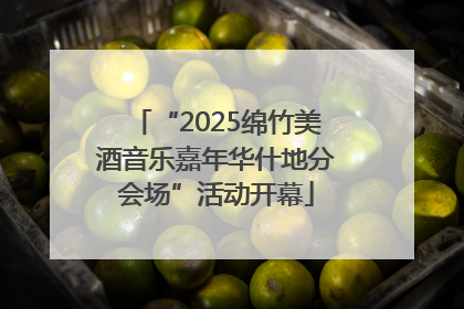 “2025绵竹美酒音乐嘉年华什地分会场”活动开幕