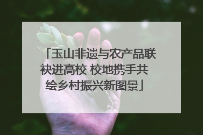 玉山非遗与农产品联袂进高校 校地携手共绘乡村振兴新图景