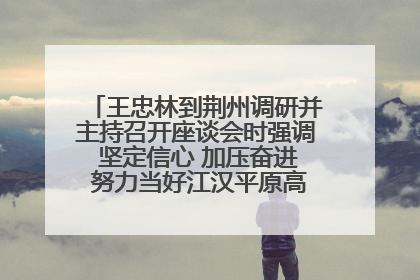 王忠林到荆州调研并主持召开座谈会时强调 坚定信心 加压奋进 努力当好江汉平原高质量发展排头兵