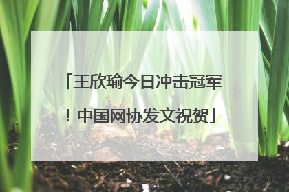 王欣瑜今日冲击冠军！中国网协发文祝贺